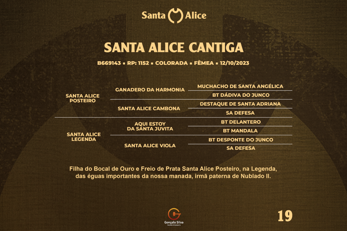 Geração SANTA ALICE CANTIGA