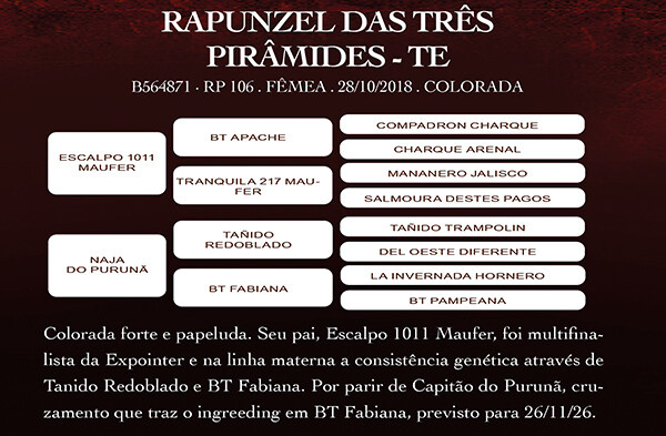 Geração RAPUNZEL DAS TRÊS PIRÂMIDES