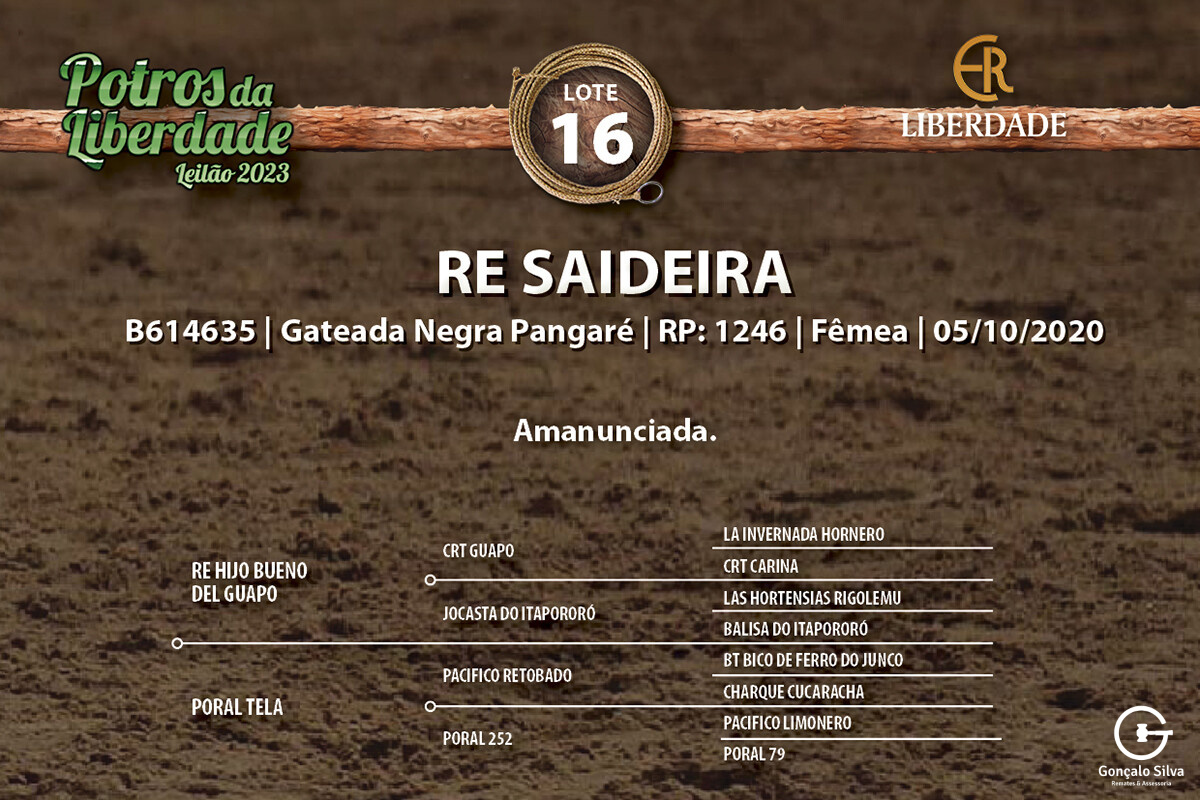 Geração RE SAIDERA