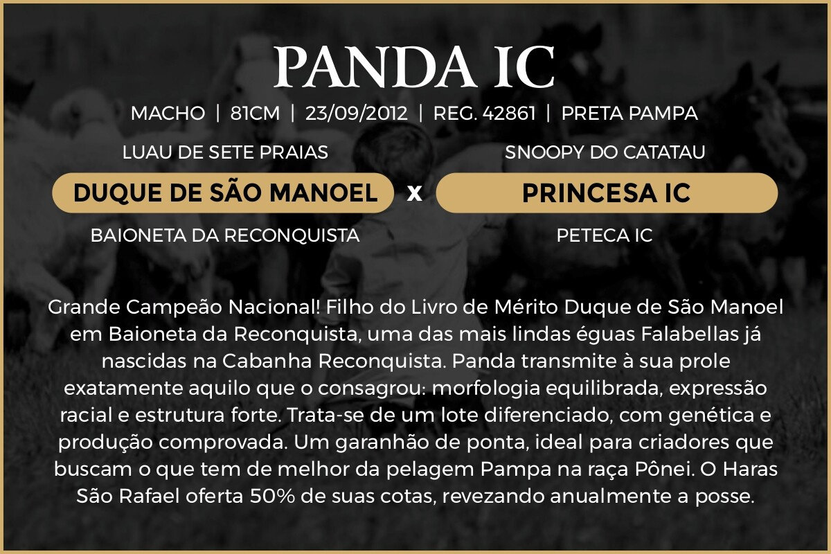 Geração 50% PANDA IC