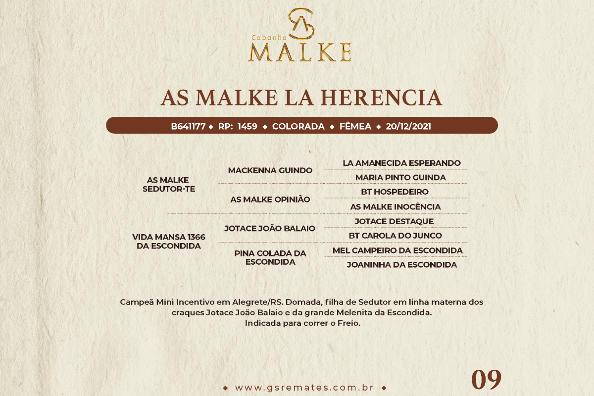 Geração AS MALKE LA HERENCIA