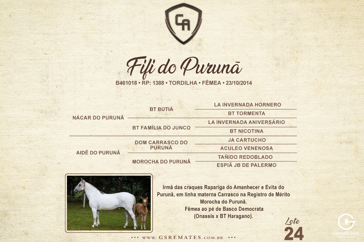 Geração FIFI DO PURUNÃ