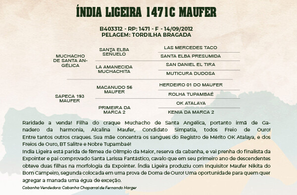 Geração INDIA LIGEIRA 1471 C MAUFER 