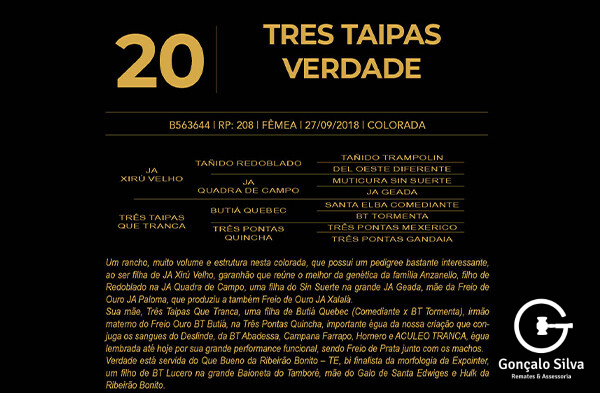 Geração TRÊS TAIPAS VERDADE