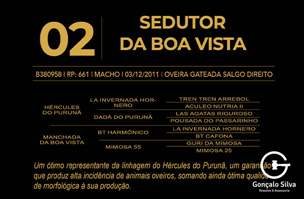 Geração SEDUTOR DA BOA VISTA - COTA DE 5%