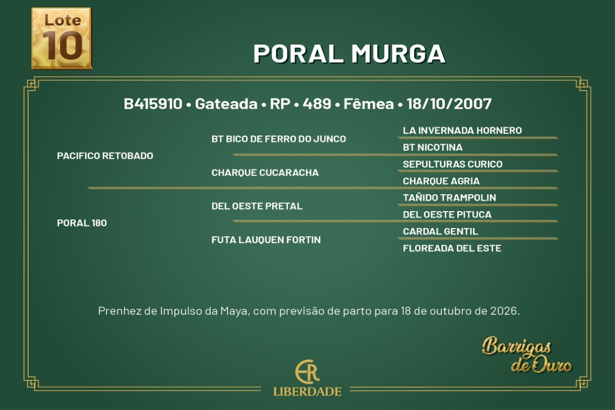 Geração PORAL MURGA