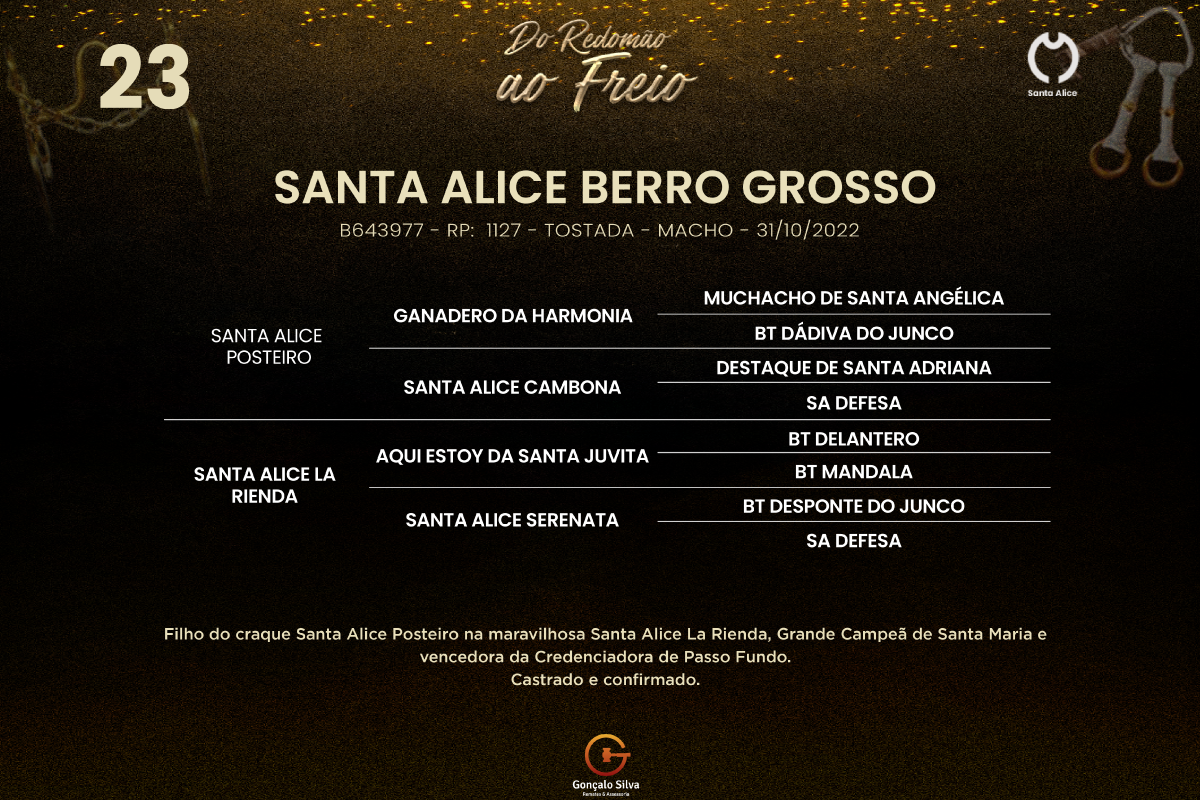 Geração SANTA ALICE BERRO GROSSO
