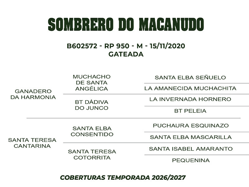Geração COBERTURA SOMBRERO DO MACANUDO 