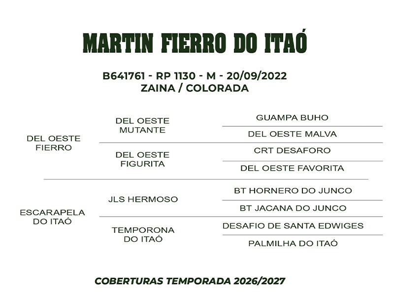 Geração COBERTURA MARTIN FIERRO DO ITAÓ 