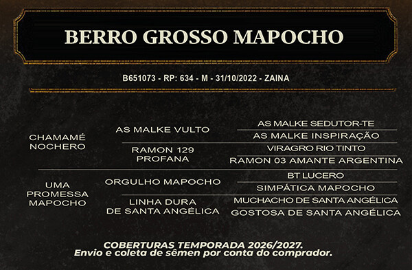 Geração BERRO GROSSO MAPOCHO 