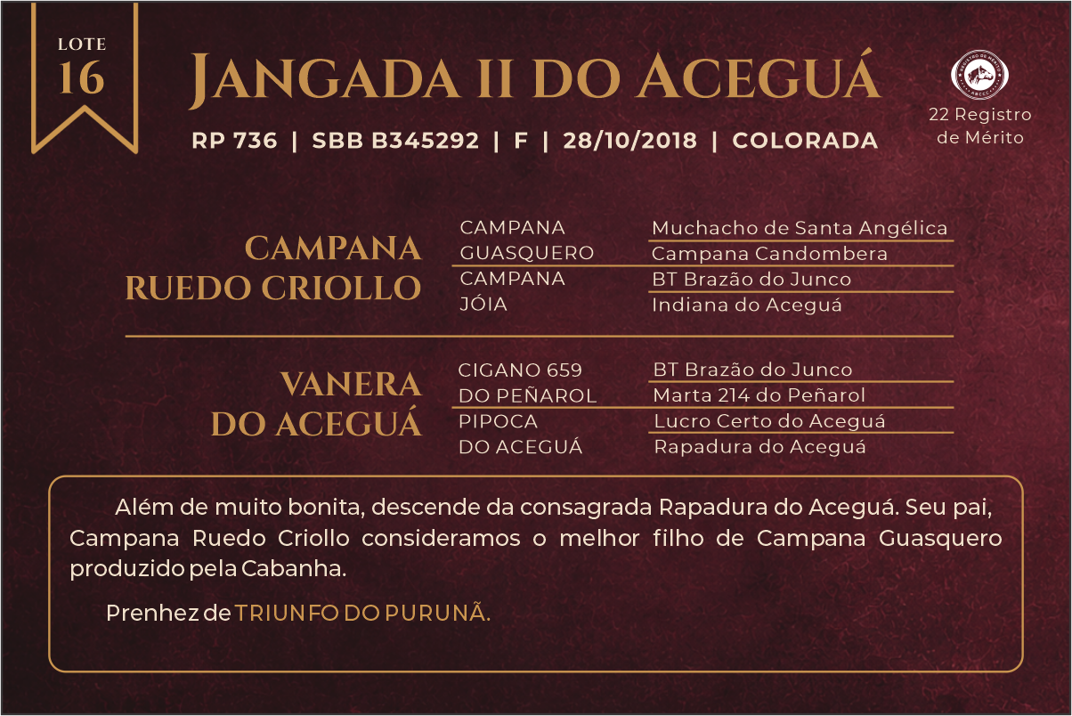 Geração JANGADA II DO ACEGUÁ