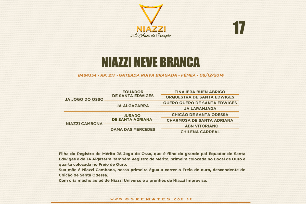 Geração NIAZZI NEVE BRANCA