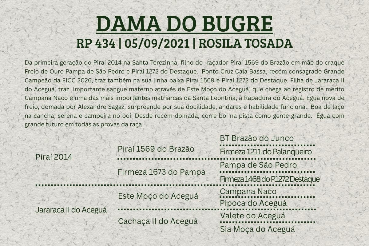 Geração DAMA DO BUGRE
