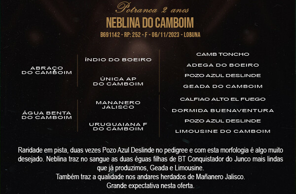 Geração NEBLINA DO CAMBOIM