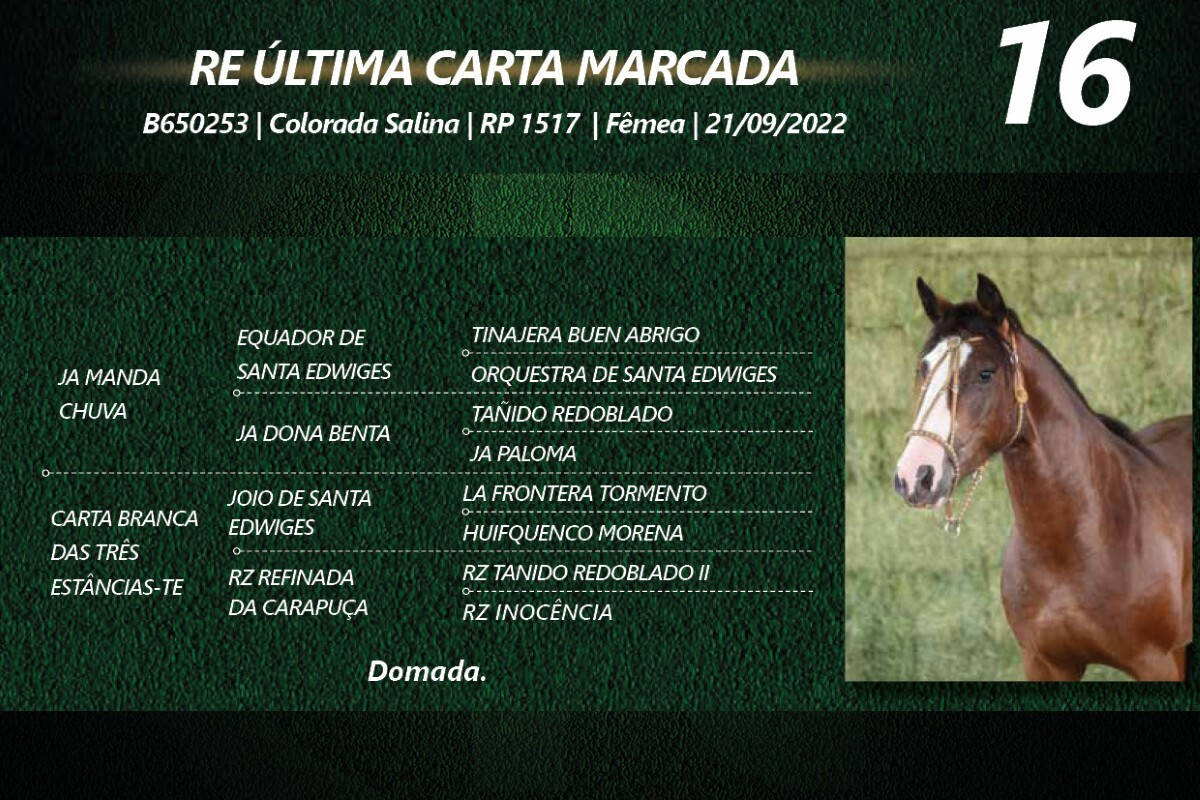 Geração RE ÚLTIMA CARTA MARCADA