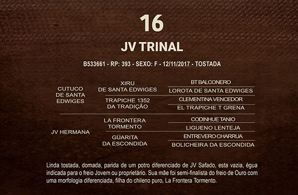 Geração JV TRINAL