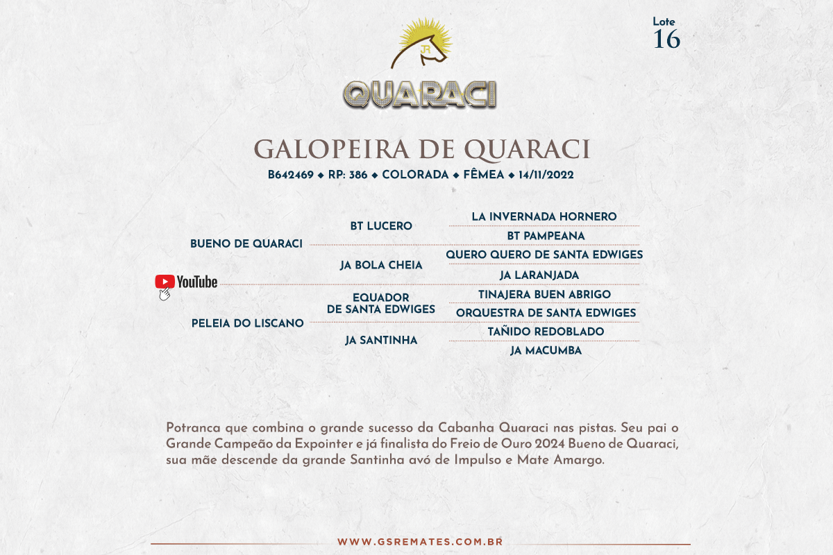 Geração GALOPEIRA DE QUARACI