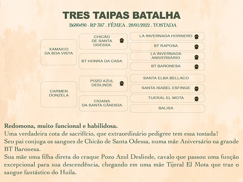 Geração TRÊS TAIPAS BATALHA