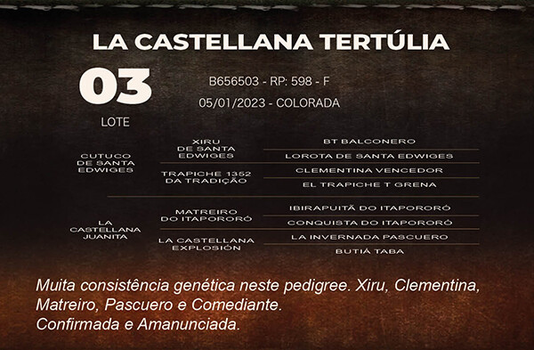 Geração LA CASTELLANA TERTÚLIA