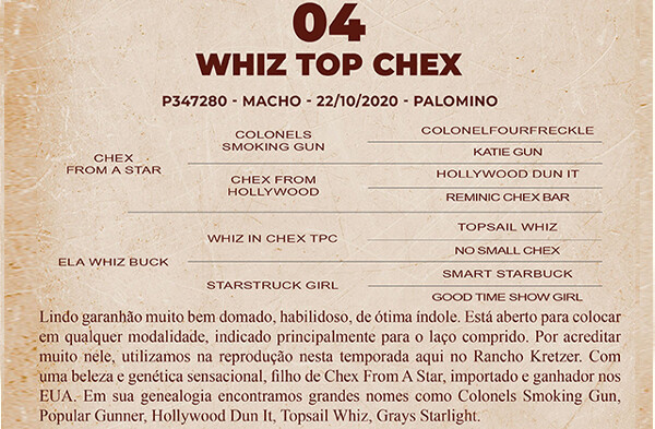 Geração WHIZ TOP CHEX