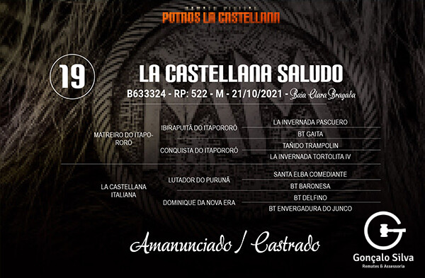 Geração LA CASTELLANA SALUDO