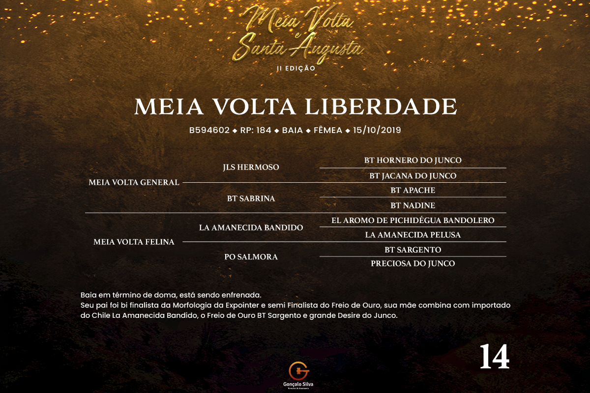 Geração MEIA VOLTA LIBERDADE