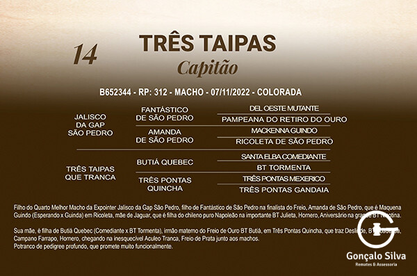 Geração TRÊS TAIPAS CAPITÃO
