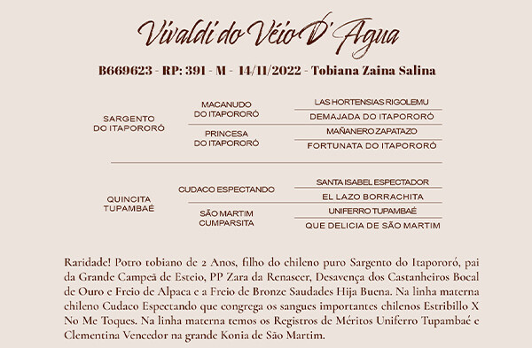 Geração VENDA VERTICAL VIVALDI DO VEIO D'AGUA OU QUINCITA TUPAMBAÉ