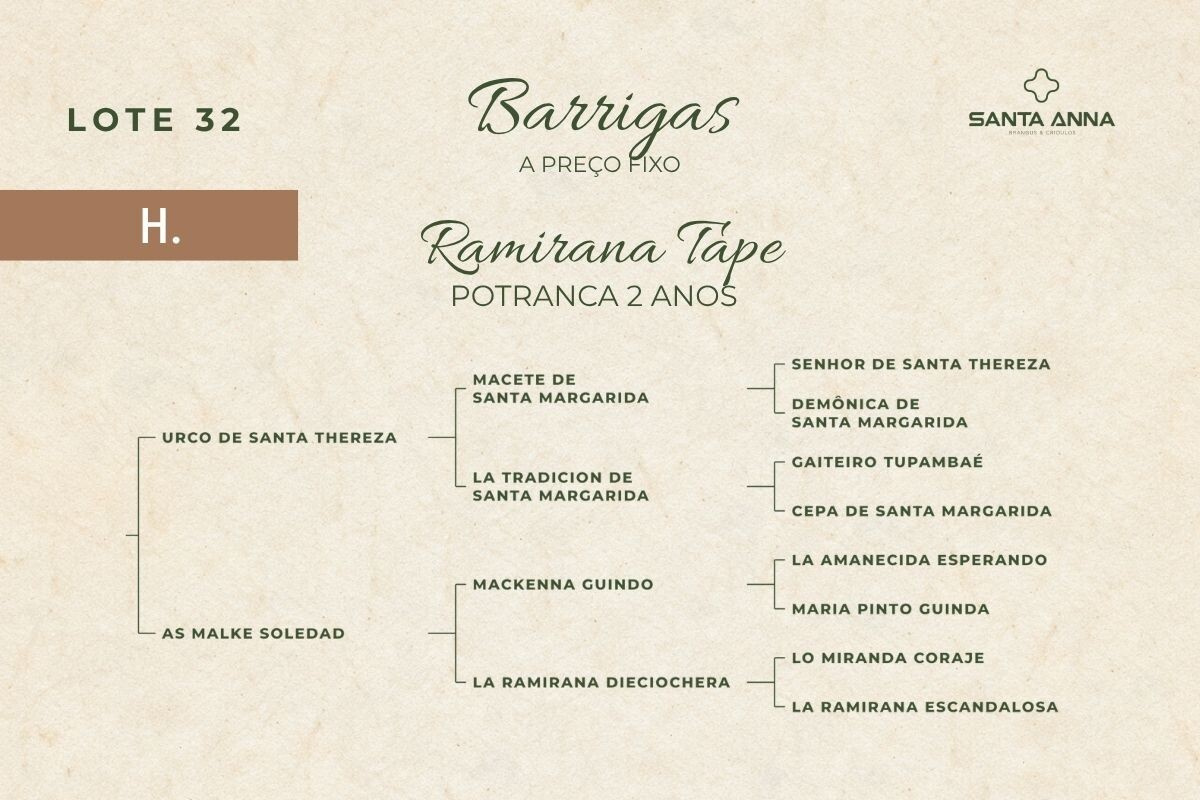 Geração RAMIRANA TAPE