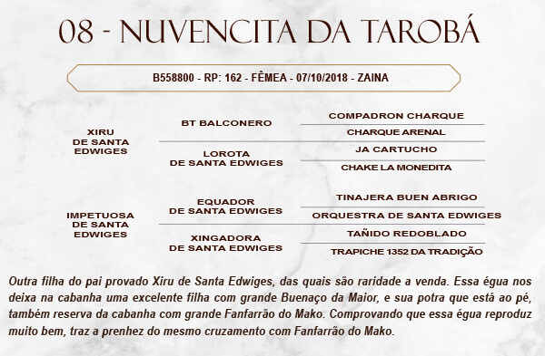 Geração NUVENCITA DA TAROBÁ