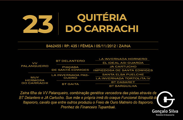 Geração QUITÉRIA DO CARRACHI