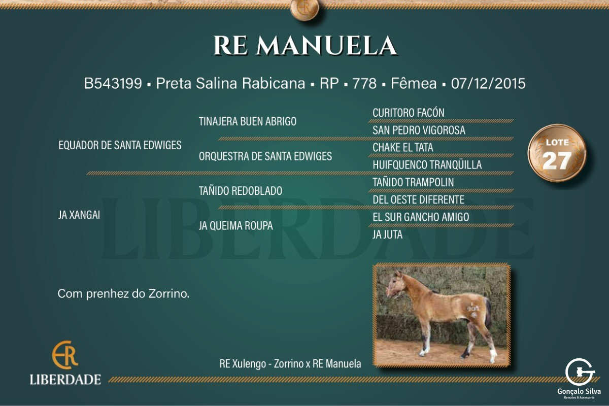 Geração  RE MANUELA