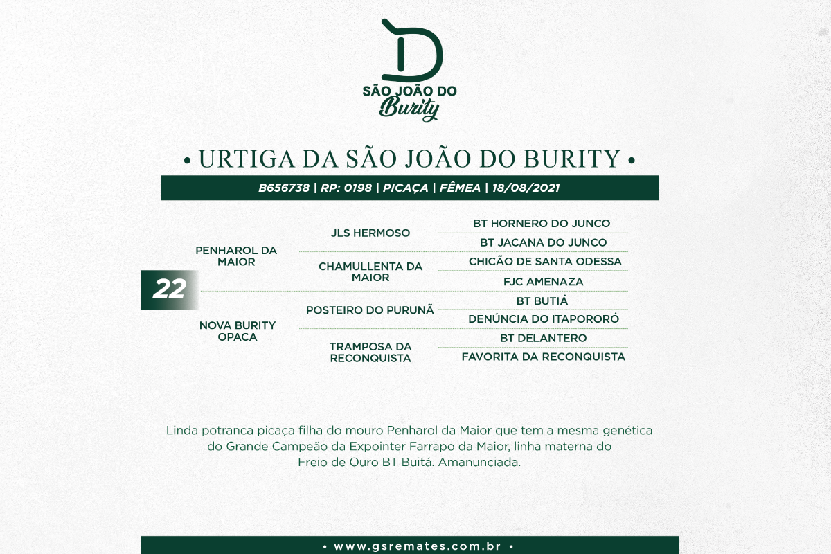 Geração URTIGA DA SÃO JOÃO DO BURITY