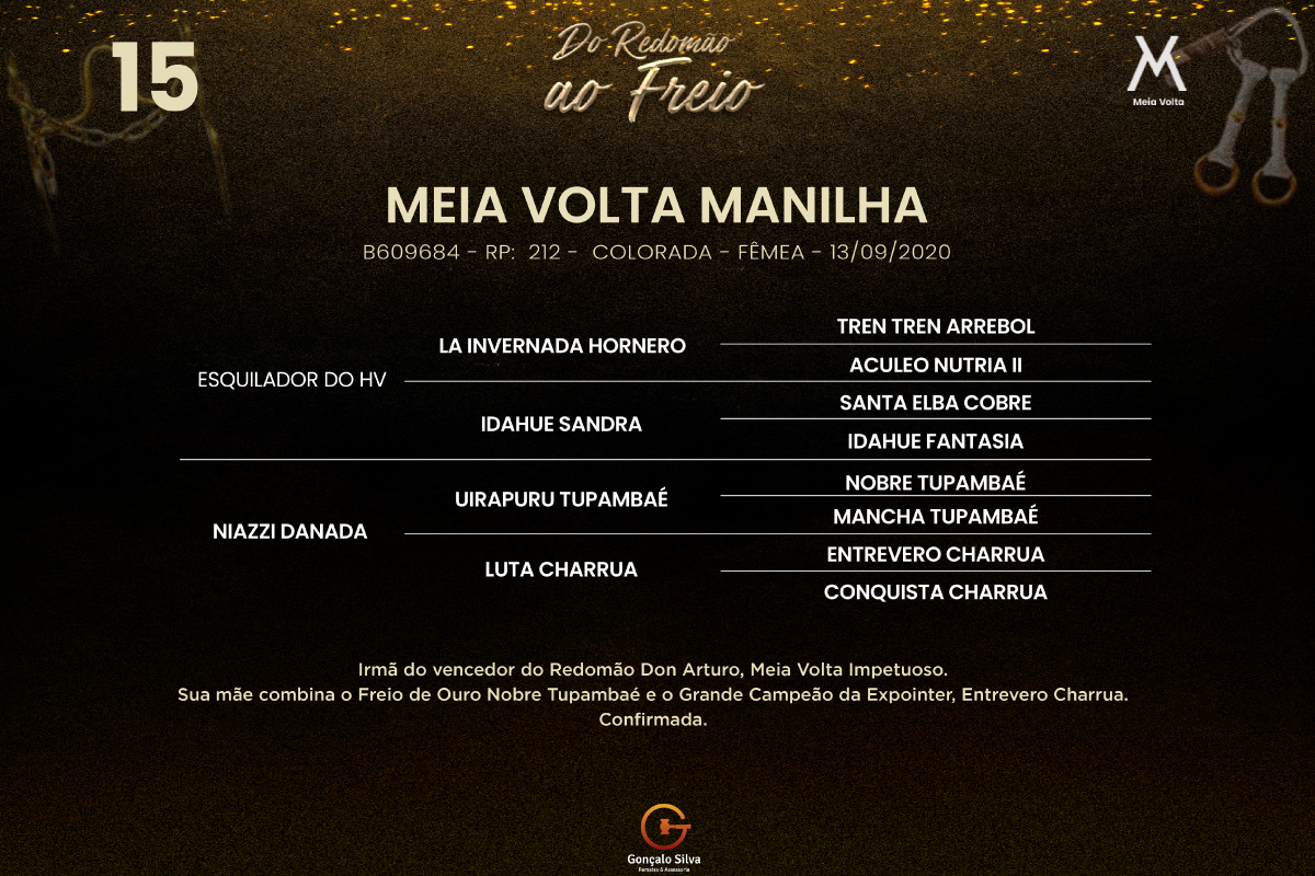 Geração MEIA VOLTA MANILHA