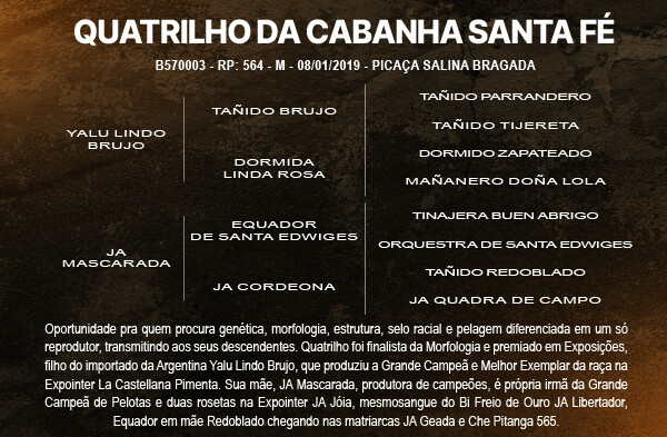 Geração QUATRILHO  DA CABANHA  SANTA FÉ - COTA DE 5%