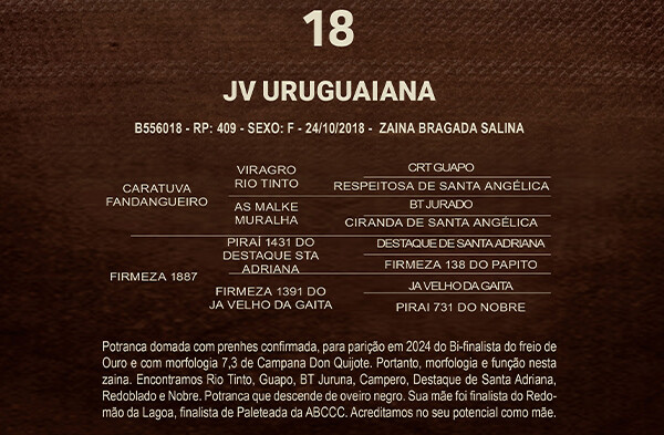 Geração JV URUGUAIANA