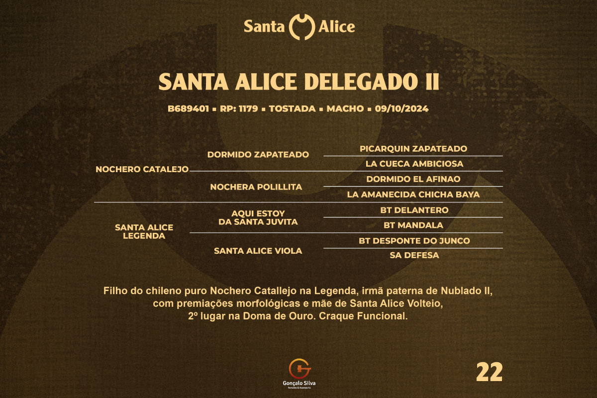 Geração SANTA ALICE DELEGADO II