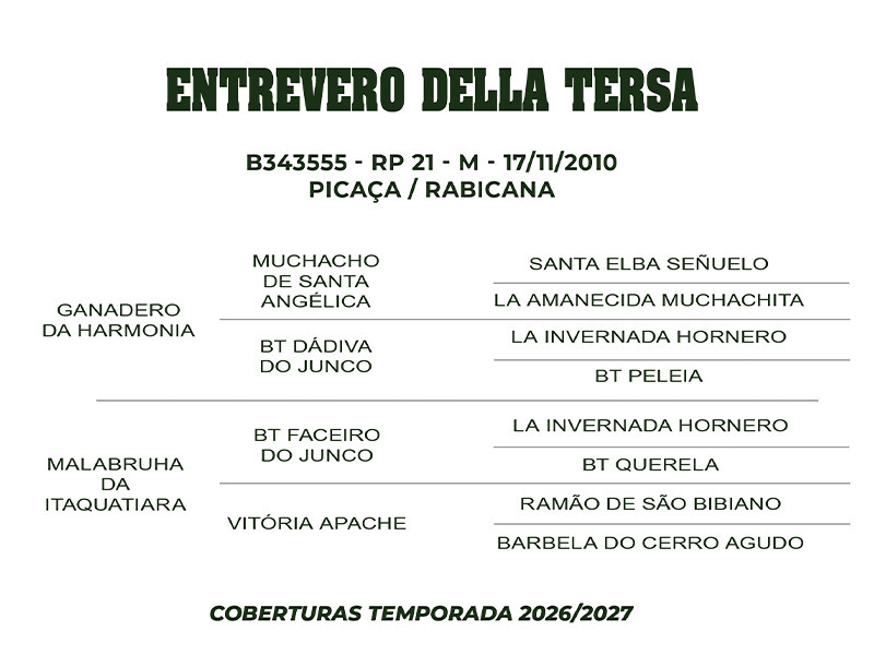 Geração COBERTURA ENTREVERO DELLA TERSA