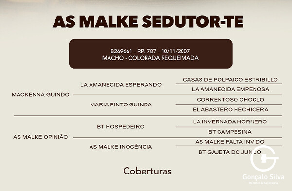 Geração COBERTURA AS MALKE SEDUTOR - TE