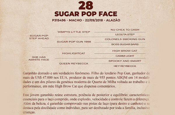 Geração SUGAR POP FACE 