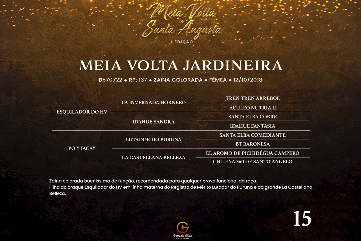 Geração MEIA VOLTA JARDINEIRA