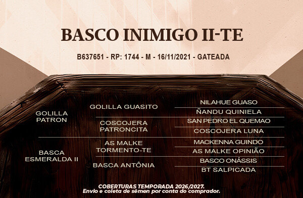 Geração Basco Inimigo II -TE
