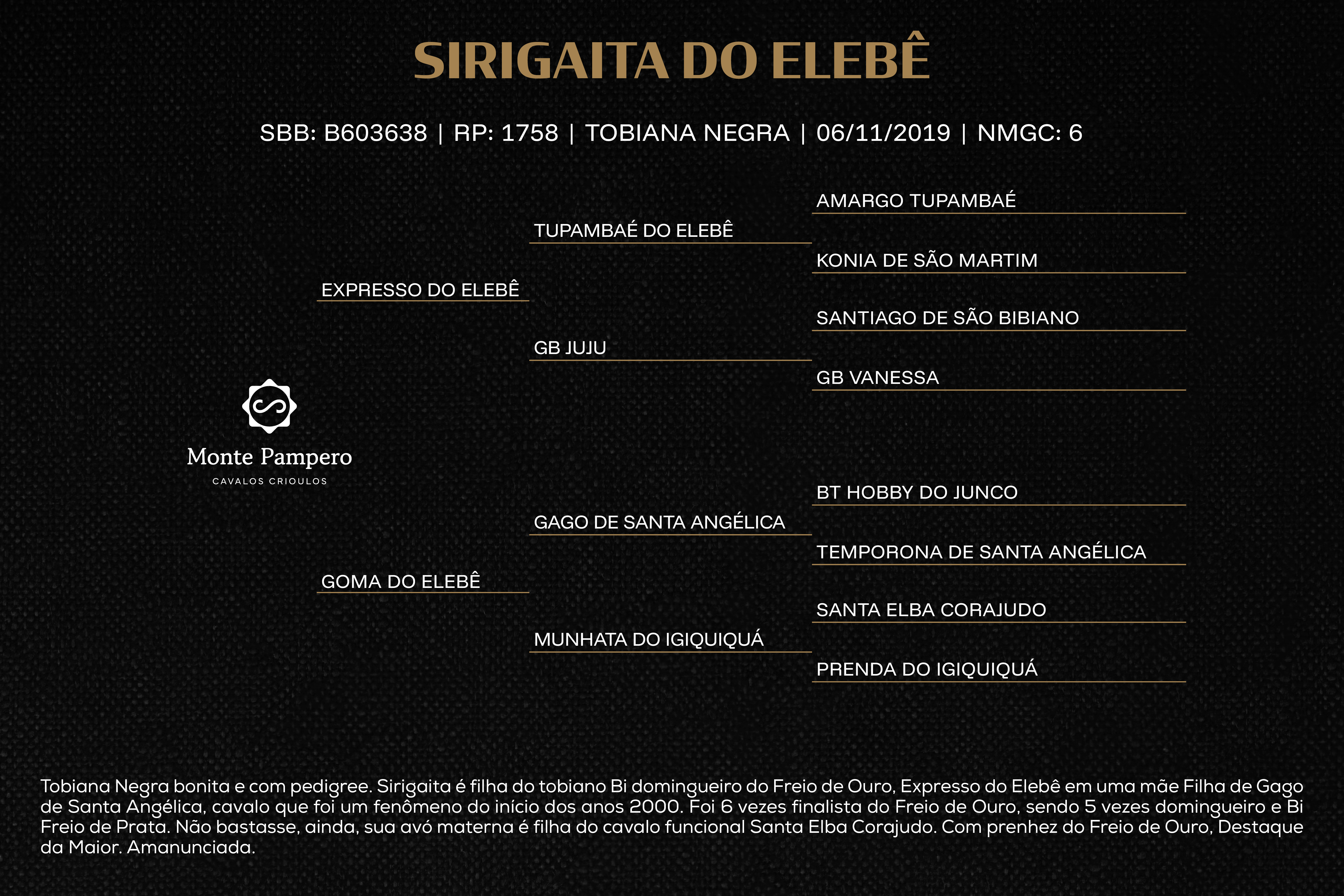 Geração SIRIGAITA DO ELEBÊ