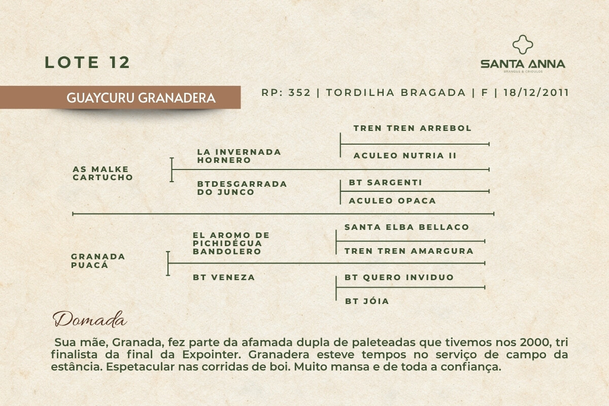 Geração GUAYCURU GRANADERA