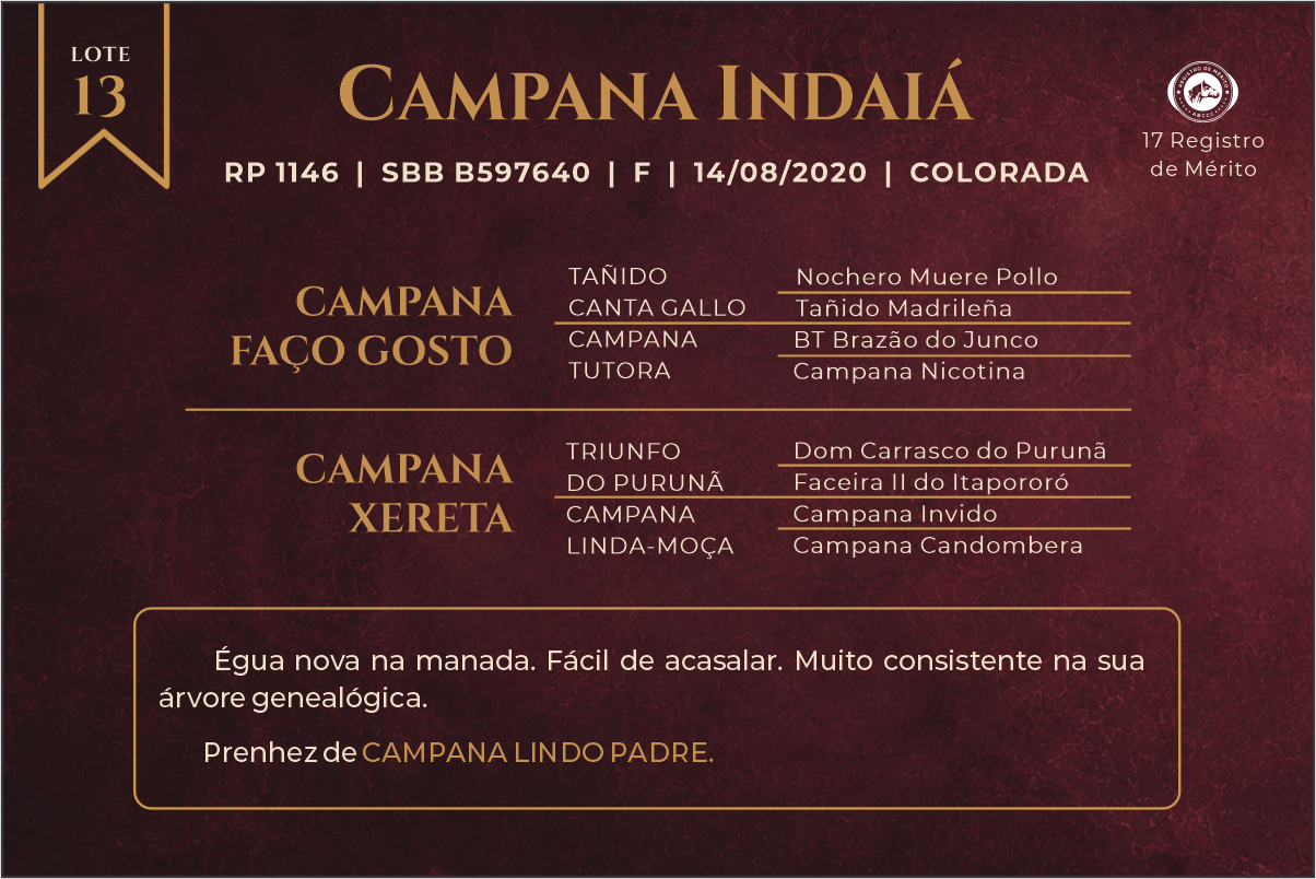 Geração CAMPANA INDAIÁ