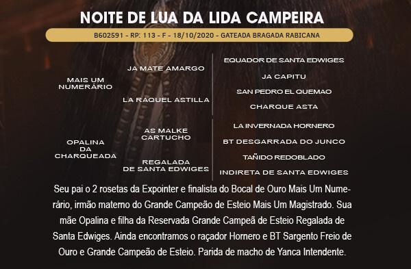 Geração NOITE DE LUA DA LIDA CAMPEIRA 