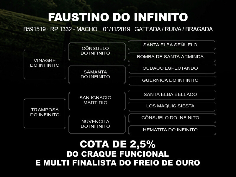 Geração COTA 2,5% FAUSTINO DO INFINITO