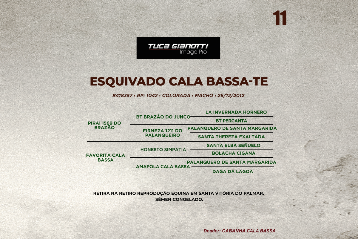 Geração ESQUIVADO CALA BASSA