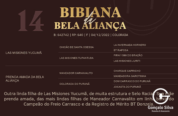 Geração BIBIANA DA BELA ALIANÇA
