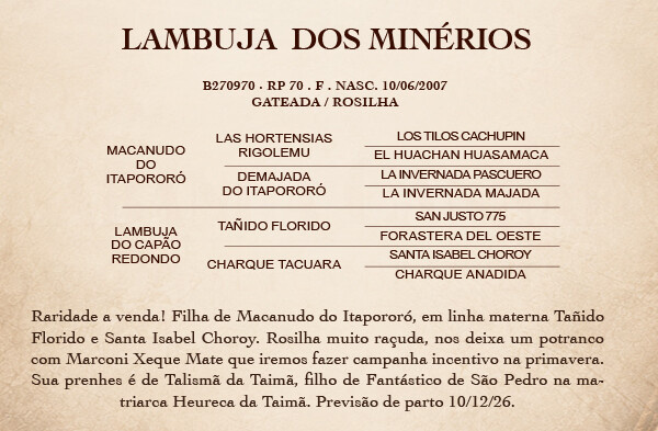 Geração LAMBUJA DOS MINÉRIOS